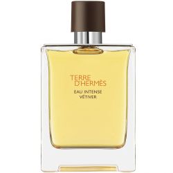 Парфюмерная вода Hermes Terre d'Hermès Eau Intense Vétiver, 100 ml(ЛЮКС)